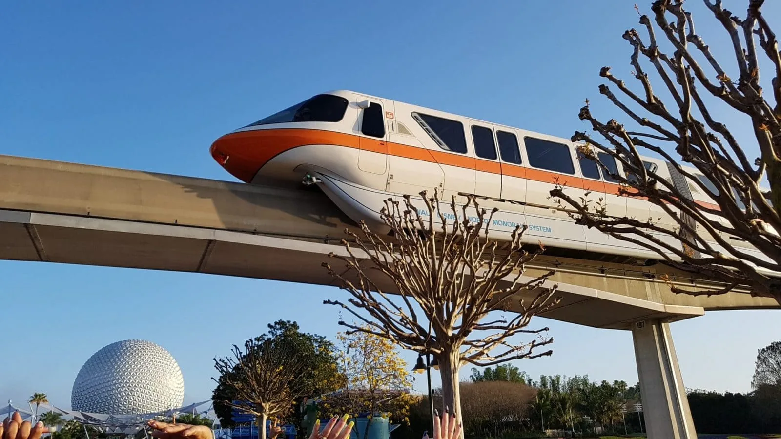 epcot