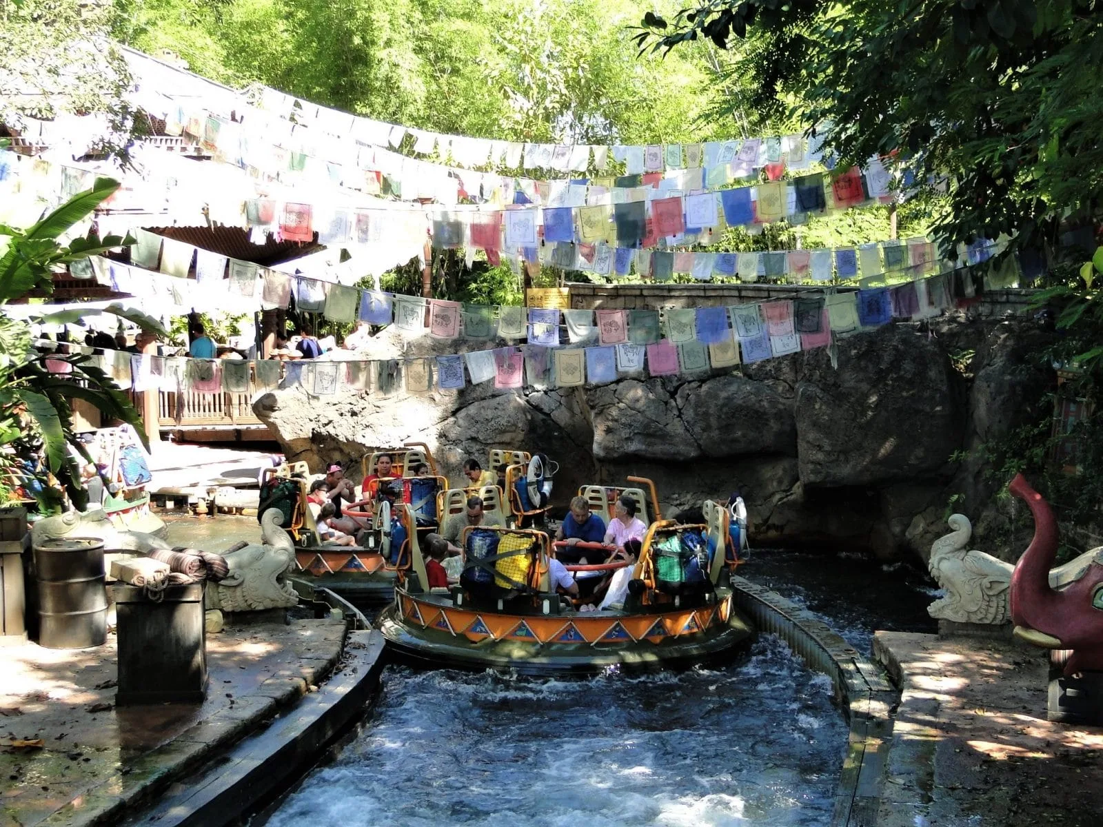 animal kingdom
