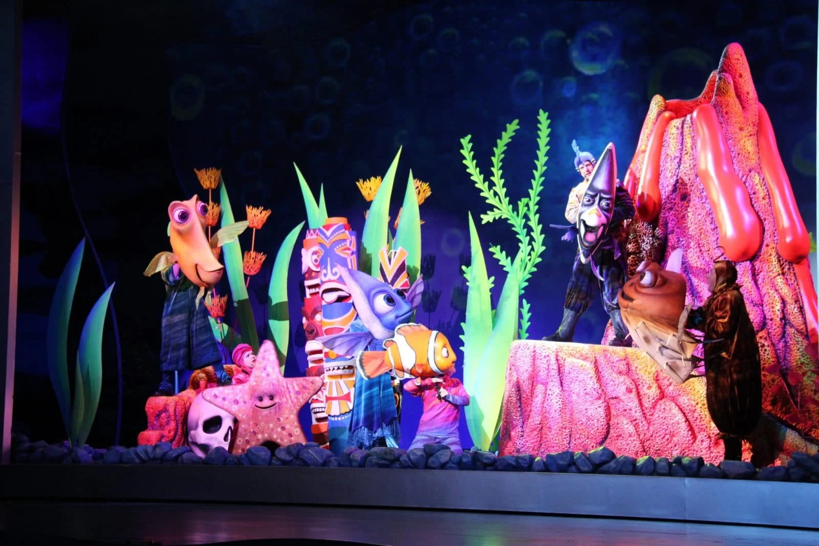 animal kingdom
