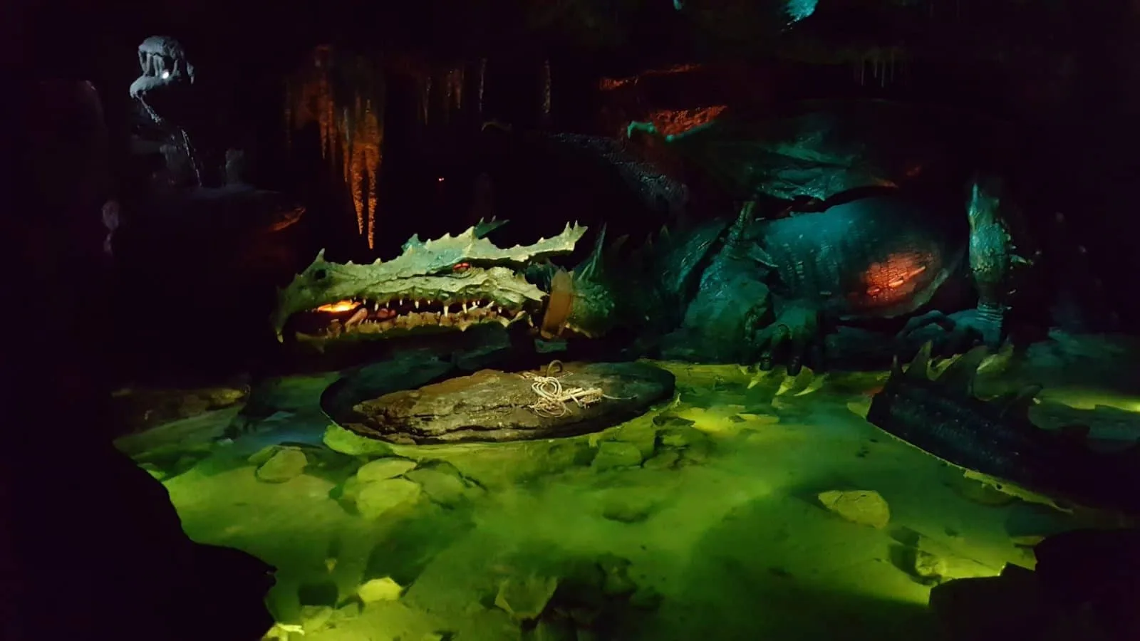 disneyland park (359)