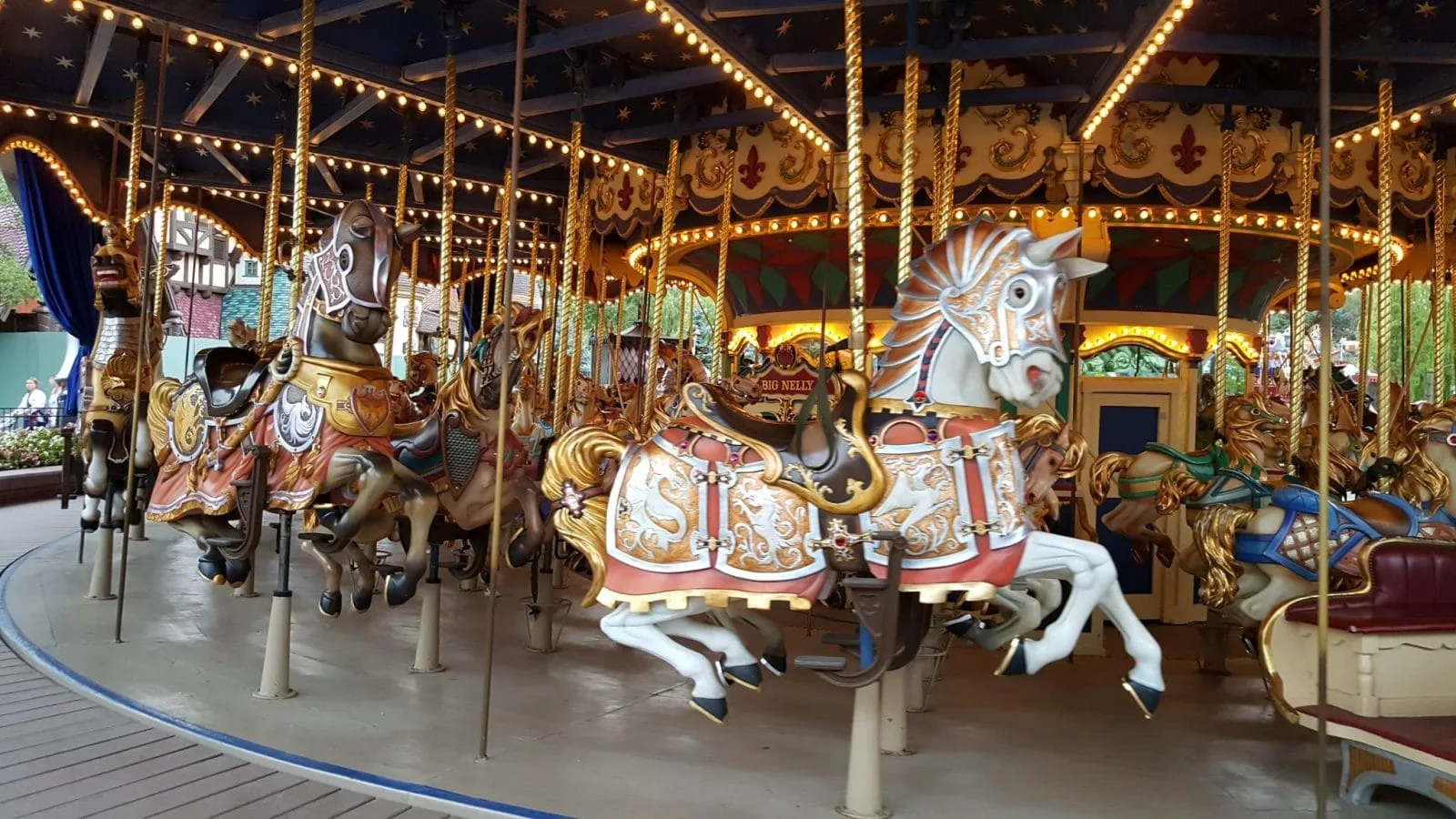 disneyland park (42)