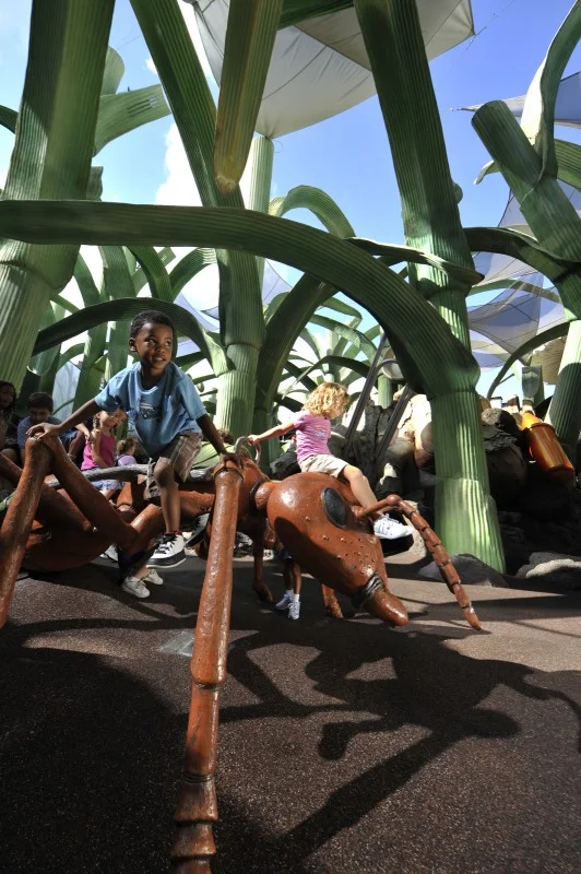 Foto by Disney World