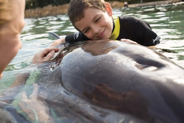 Boy+With+Dolphin.jpg
