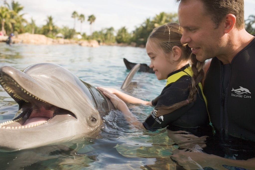 DC+Dolphin+Dad+and+Girl.jpg