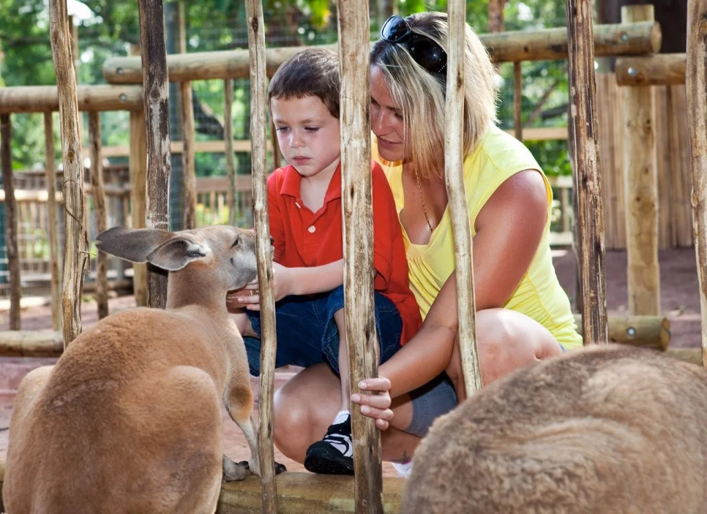 Mother+and+son+Feeding+Roos.jpg