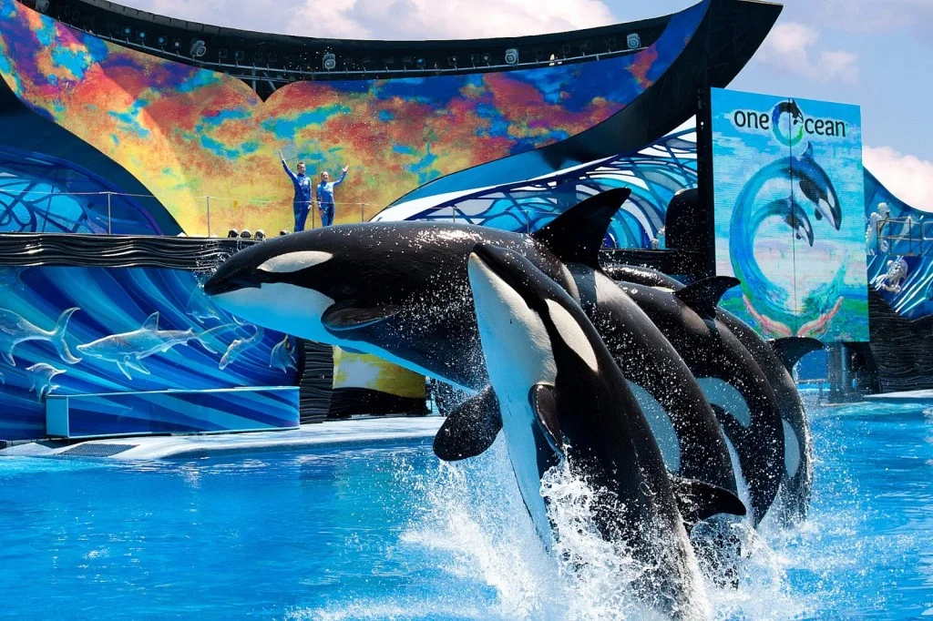 OneOcean1.jpg