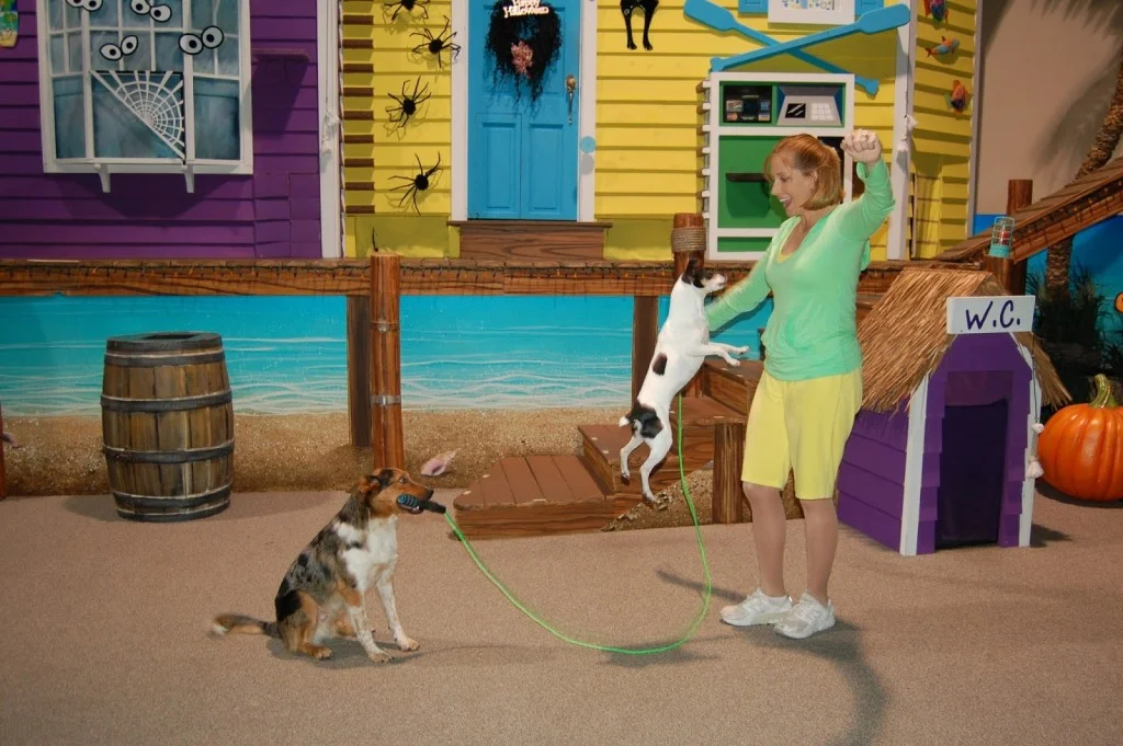 Pets+Ahoy.JPG