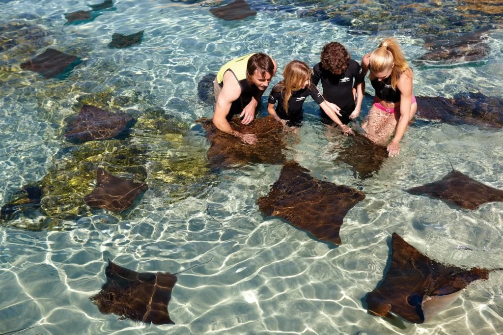 Ray+Family+Overhead.jpg
