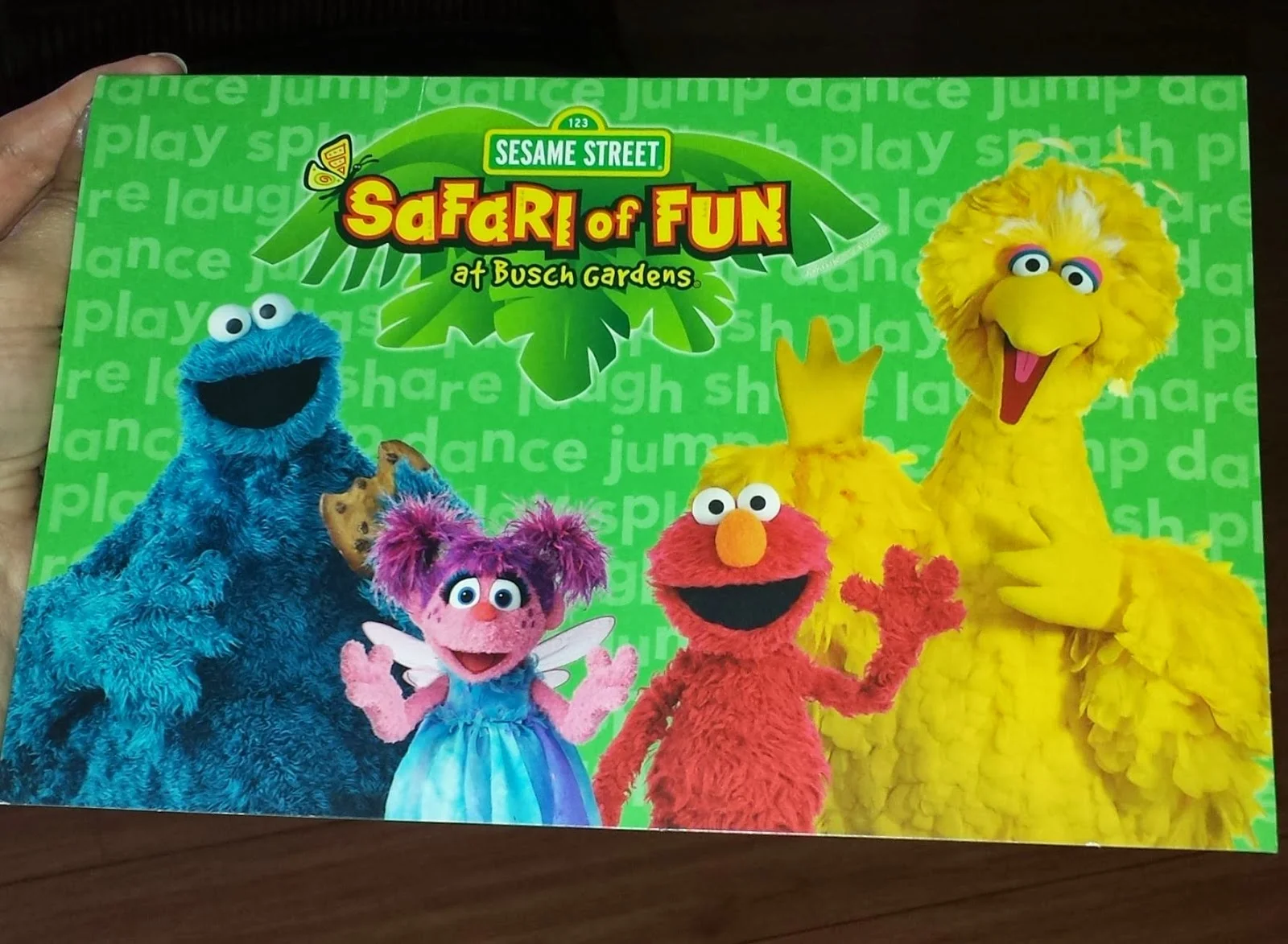 Foto by Andreza Trivillin - Sesame Street Safari Fun - Busch Gardens 