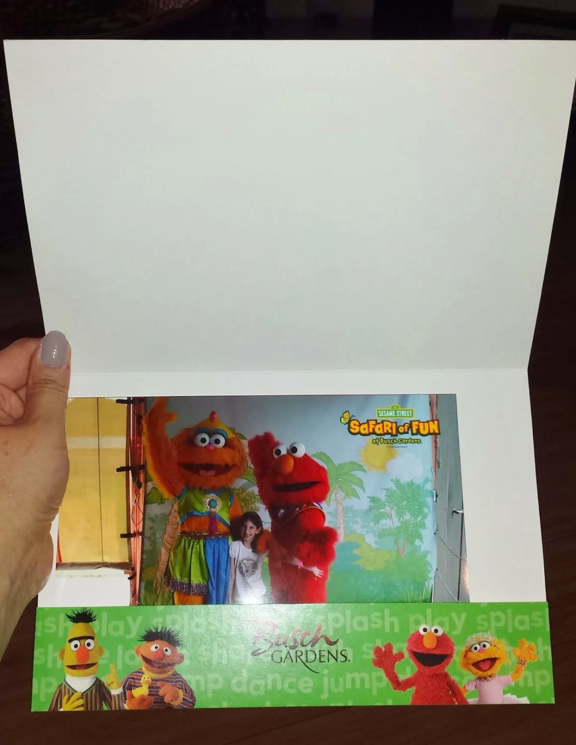 Foto by Andreza Trivillin - Sesame Street Safari Fun - Busch Gardens 