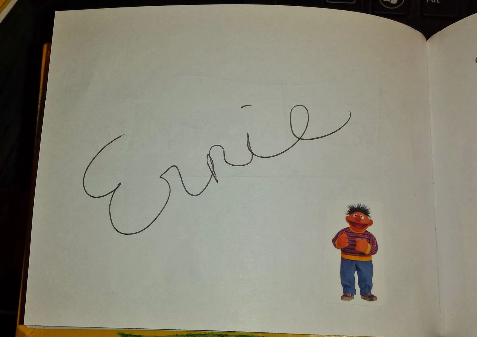 Foto by Andreza Trivillin - Sesame Street Safari Fun - Busch Gardens 