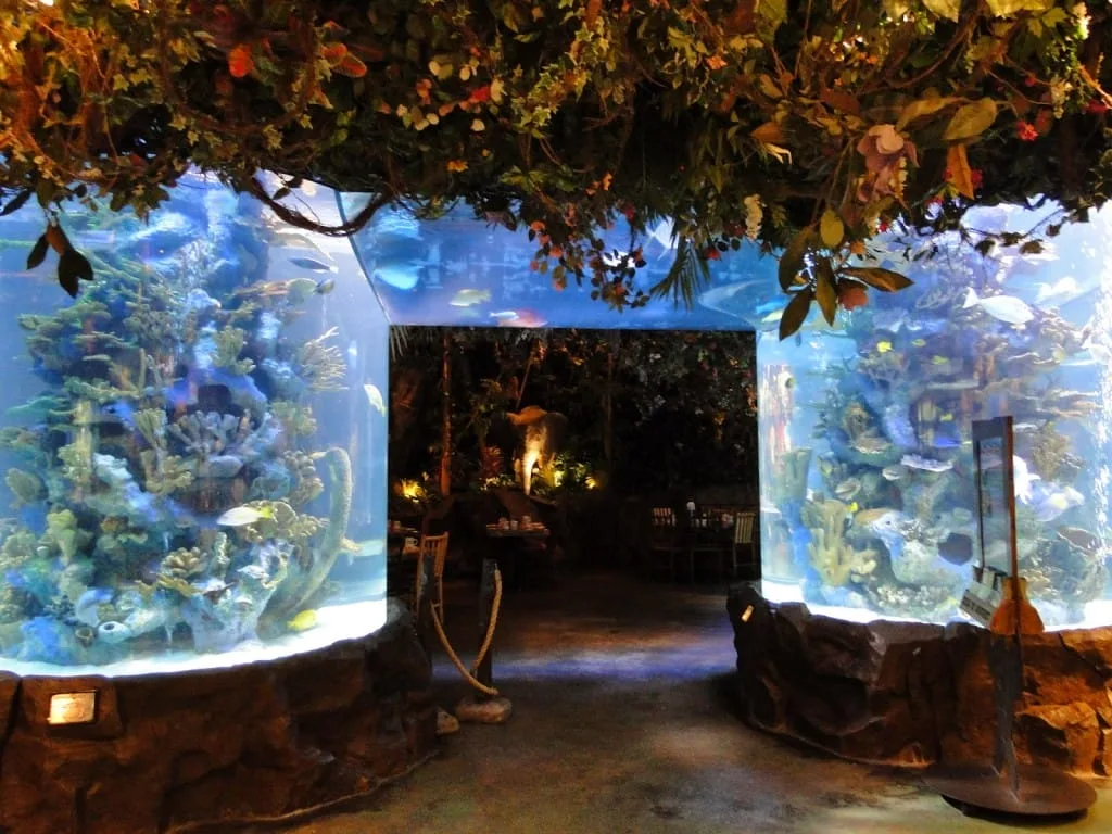 Rainforest cafe