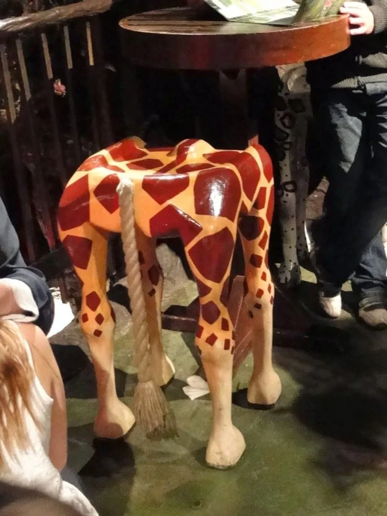 Foto by Andreza Trivillin - Rainforest Cafe Rainforest cafe