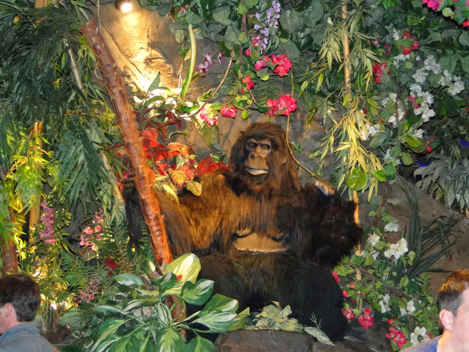 Rainforest cafe