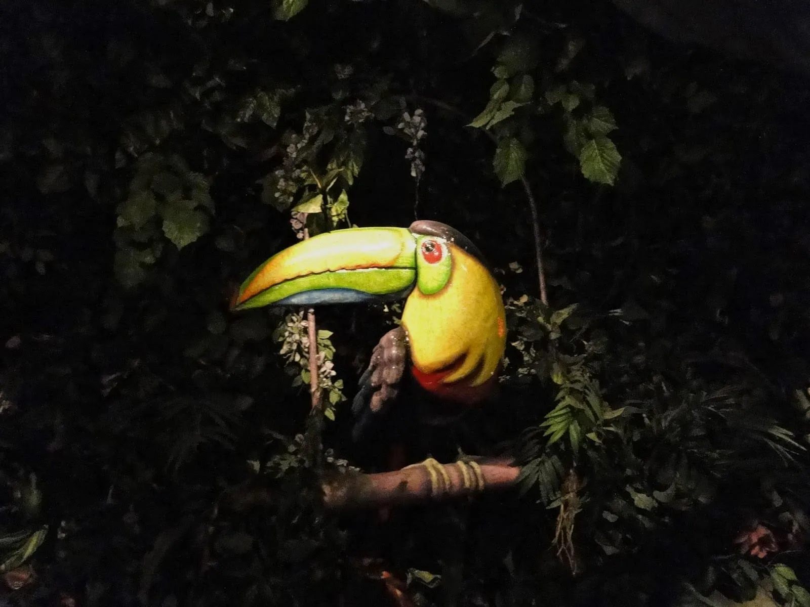 Rainforest cafe