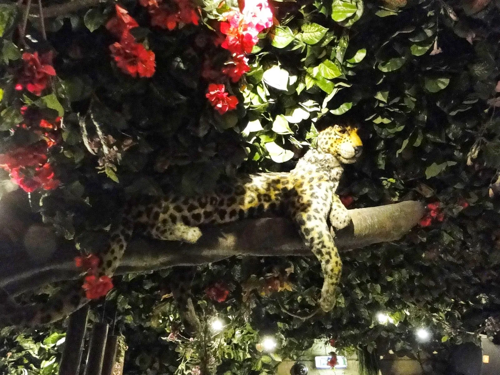 Rainforest cafe