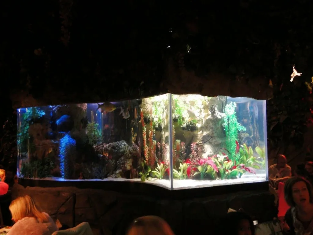 Rainforest cafe
