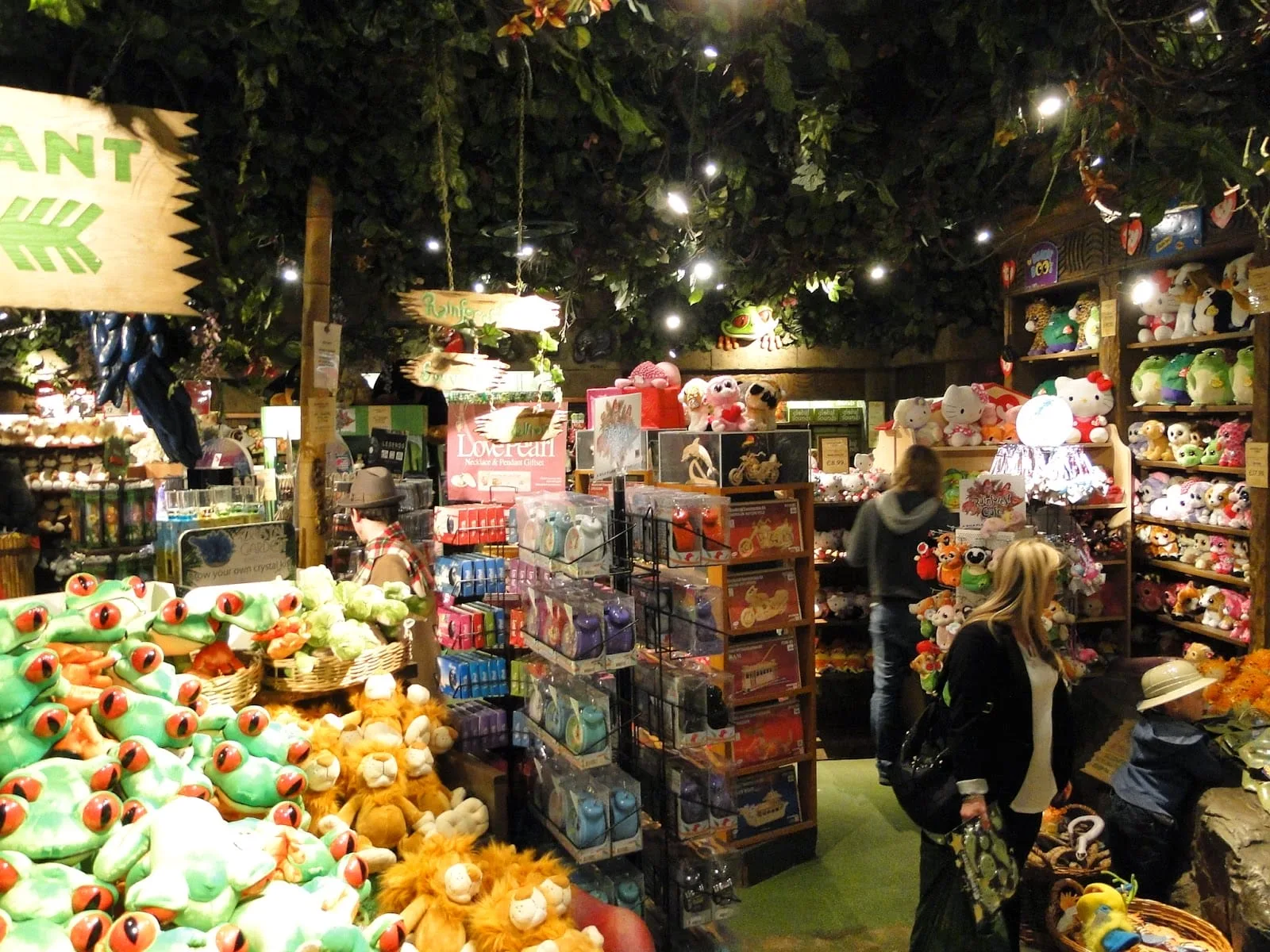 Rainforest cafe