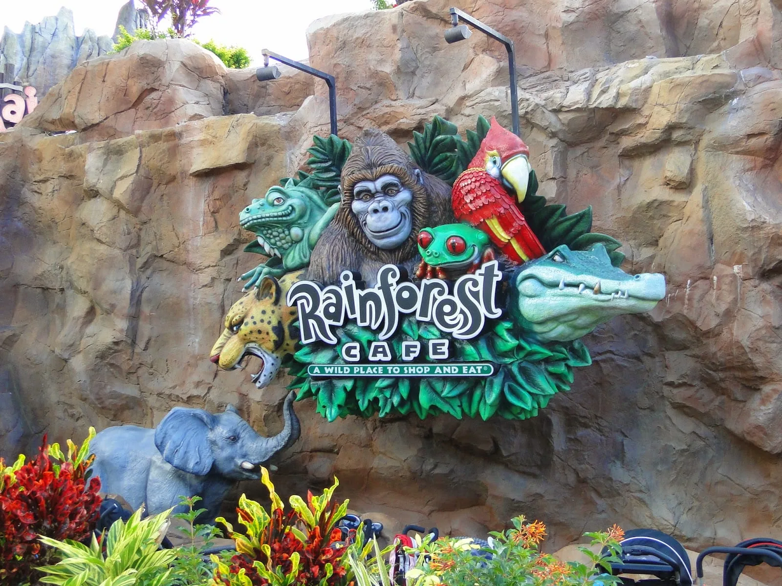 Rainforest cafe