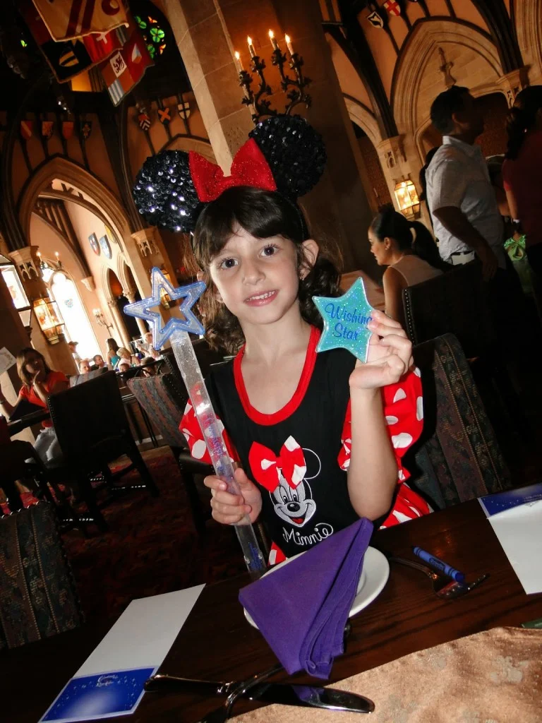 castelo da cinderela