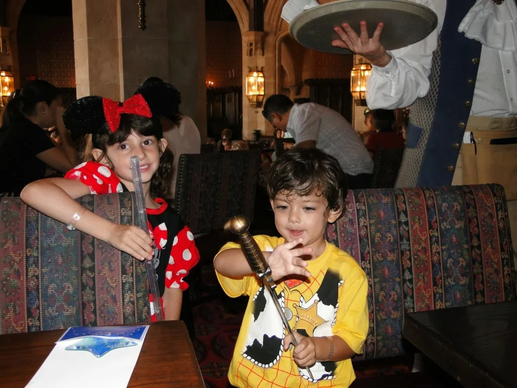 castelo da cinderela