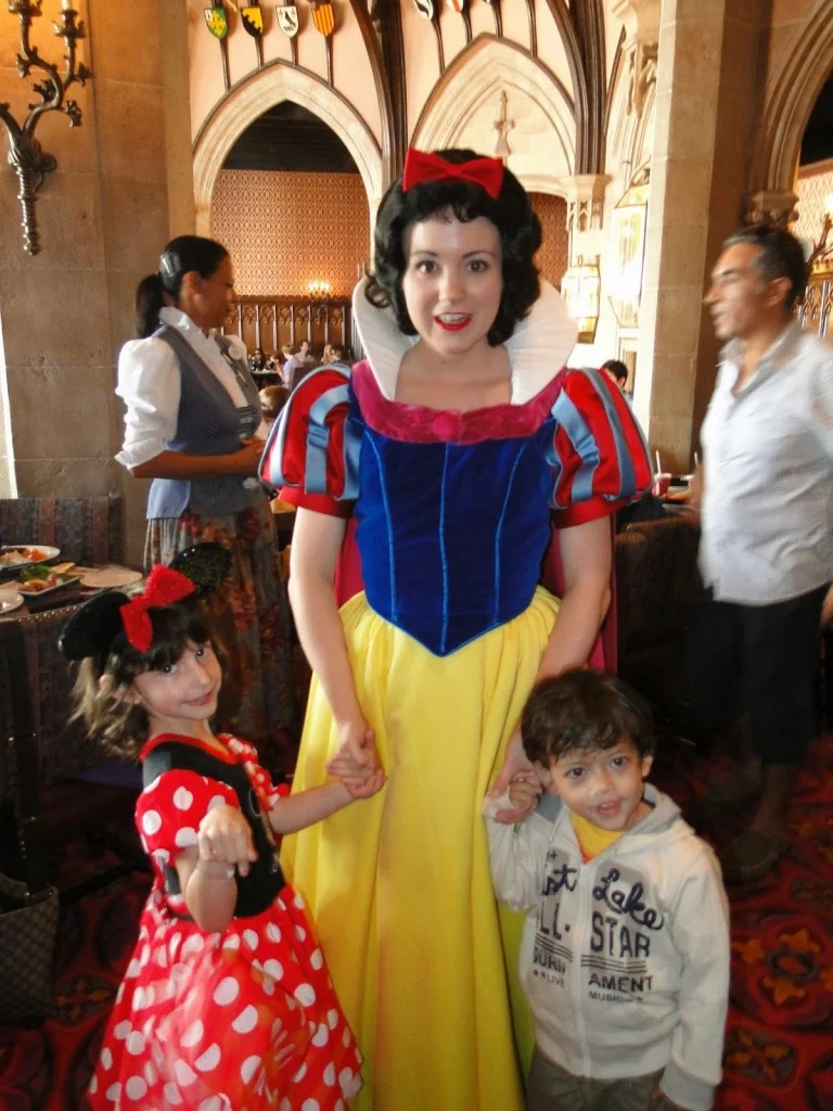 castelo da cinderela