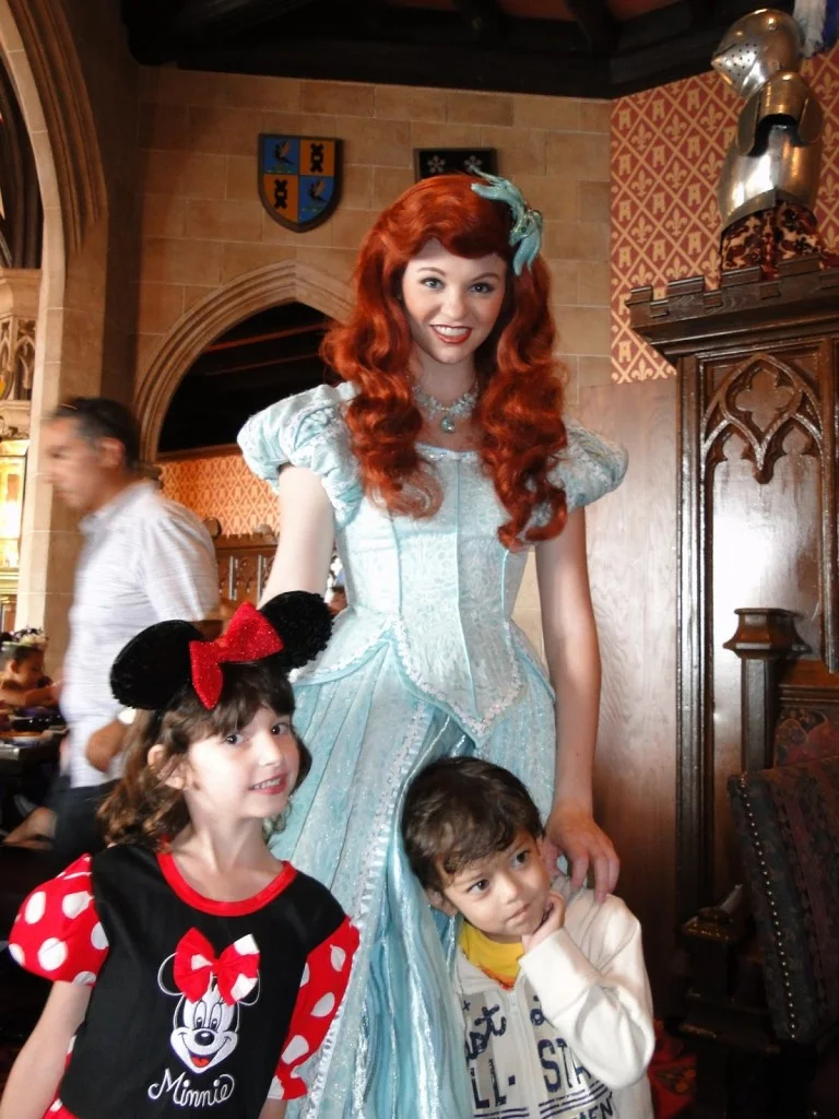 castelo da cinderela