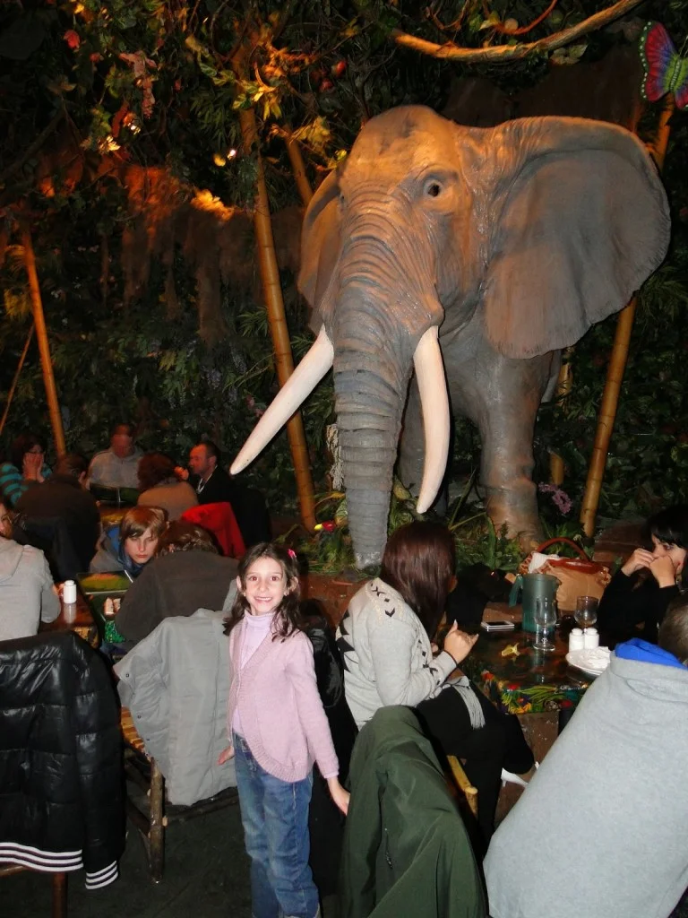 Rainforest cafe