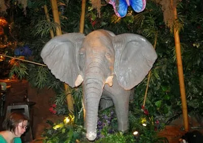 Rainforest cafe