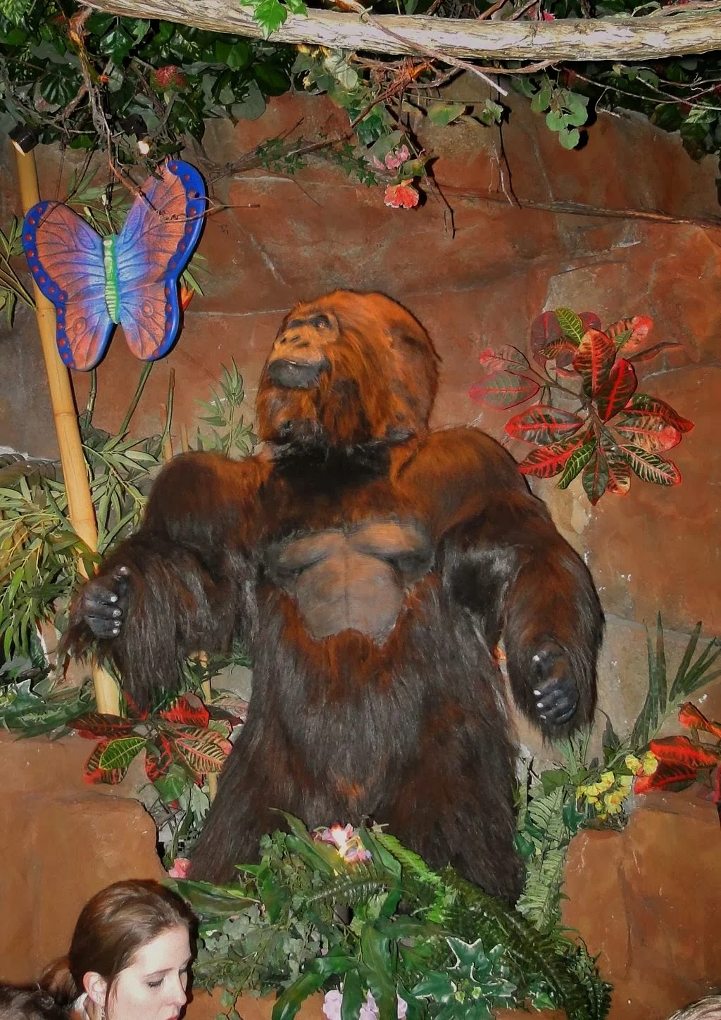 Rainforest cafe