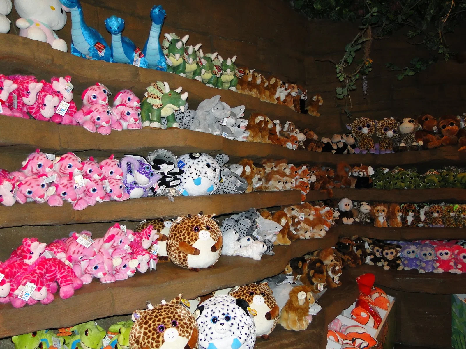 Rainforest cafe