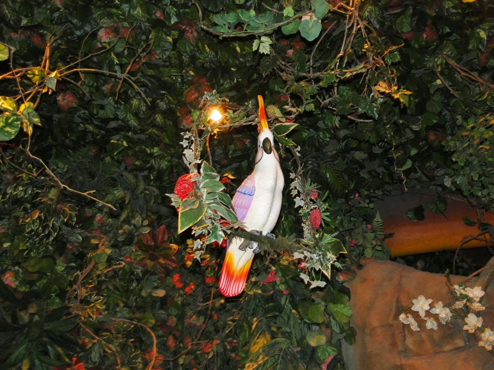 Rainforest cafe