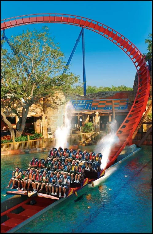 sheikra-6698