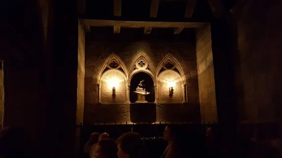 harry potter (17)