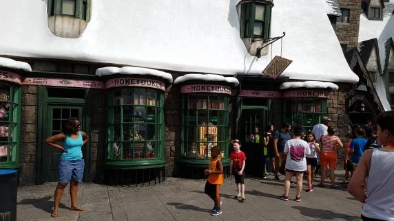 harry potter (24)