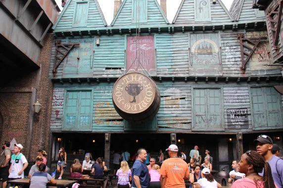 harry potter (28)