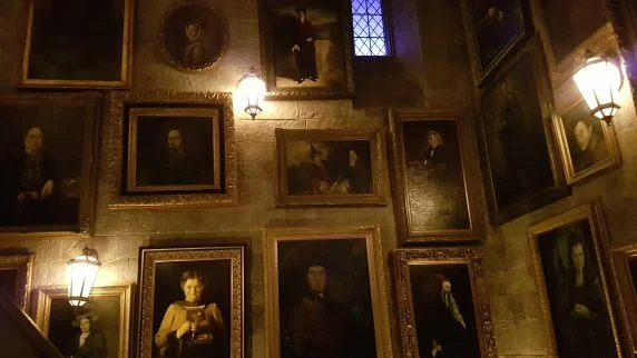 harry potter (6)