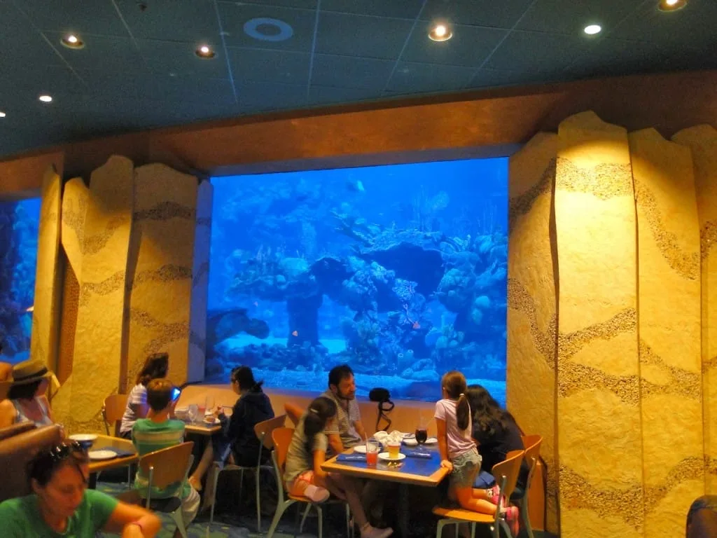 Foto by Andreza Trivillin - Coral Reef - Epcot