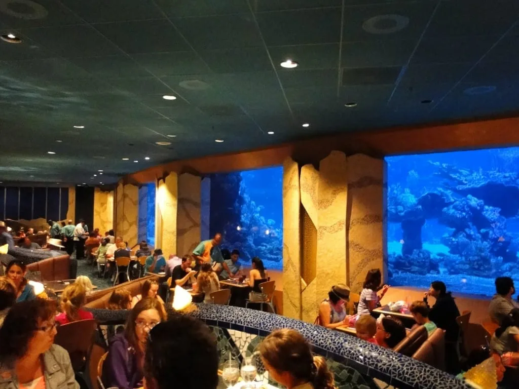 Foto by Andreza Trivillin - Coral Reef - Epcot
