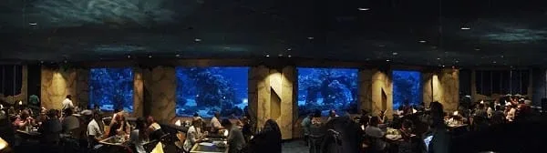 Foto by Andreza Trivillin - Coral Reef - Epcot