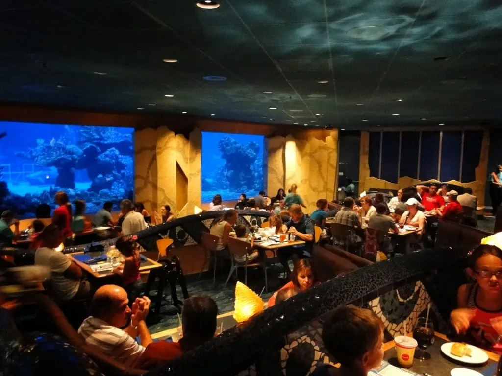 Foto by Andreza Trivillin - Coral Reef - Epcot