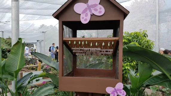 flower and garden festival (16)