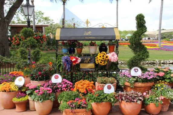 flower and garden festival (182)