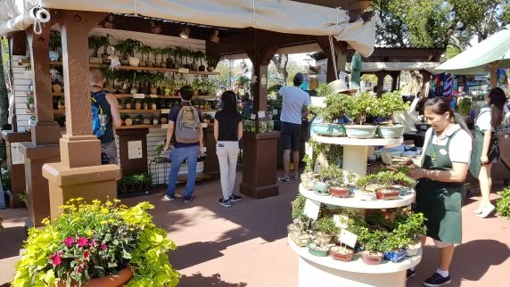 flower & garden (7)