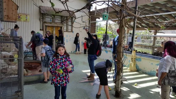 2016-02-08 12.17.34-3