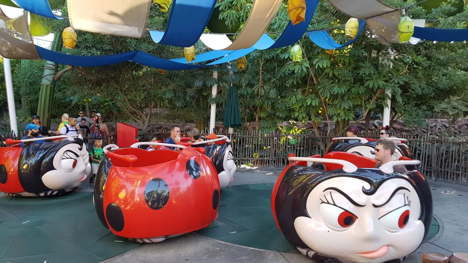 california adventure