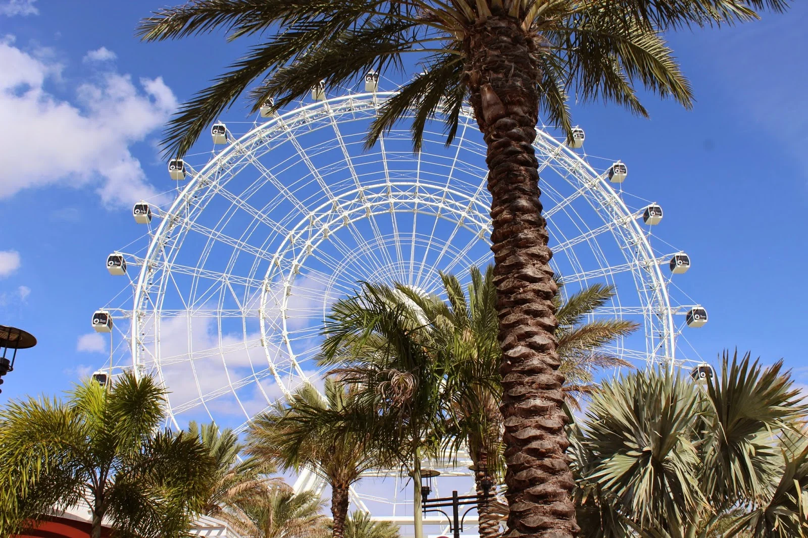 Orlando Eye