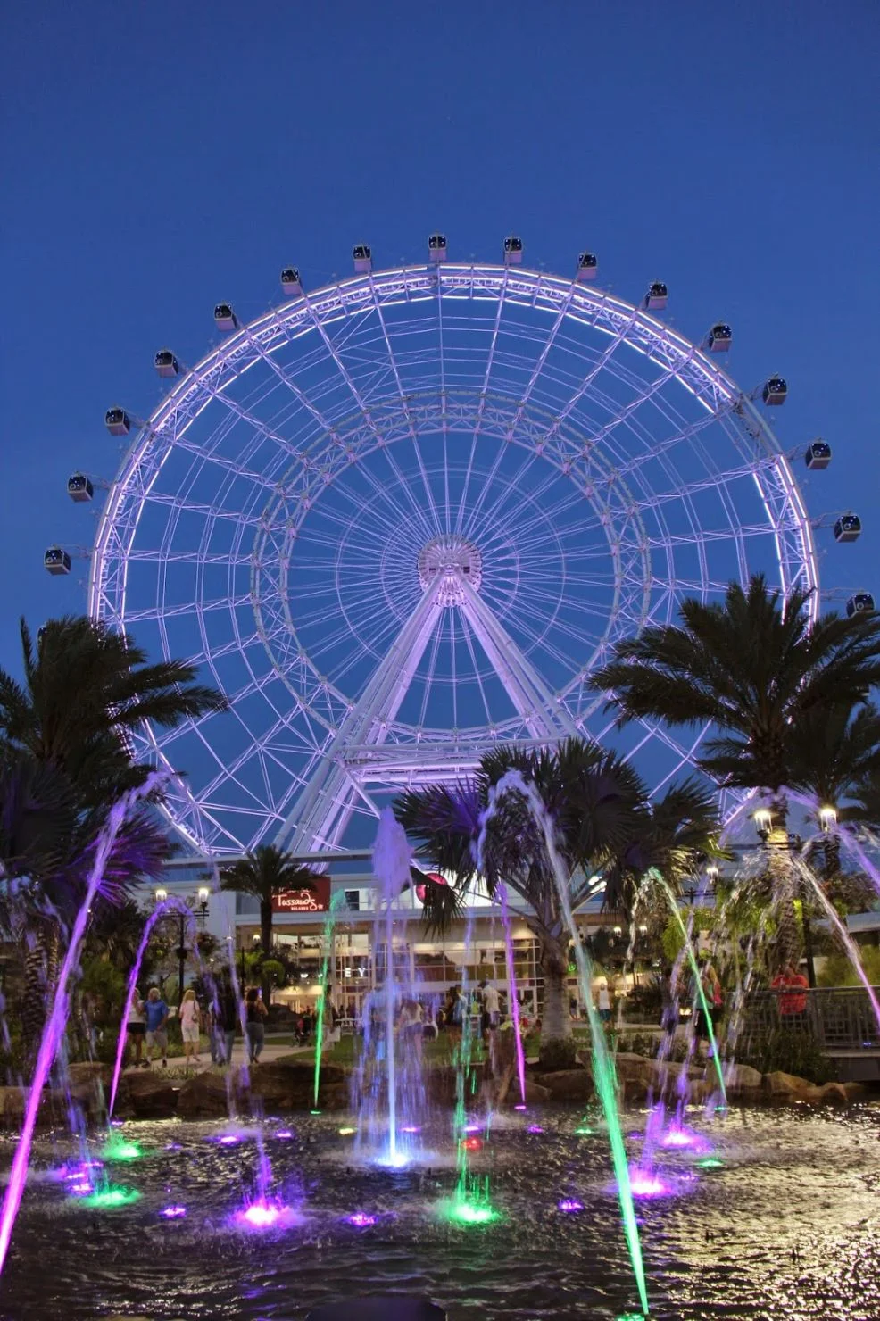 Orlando Eye