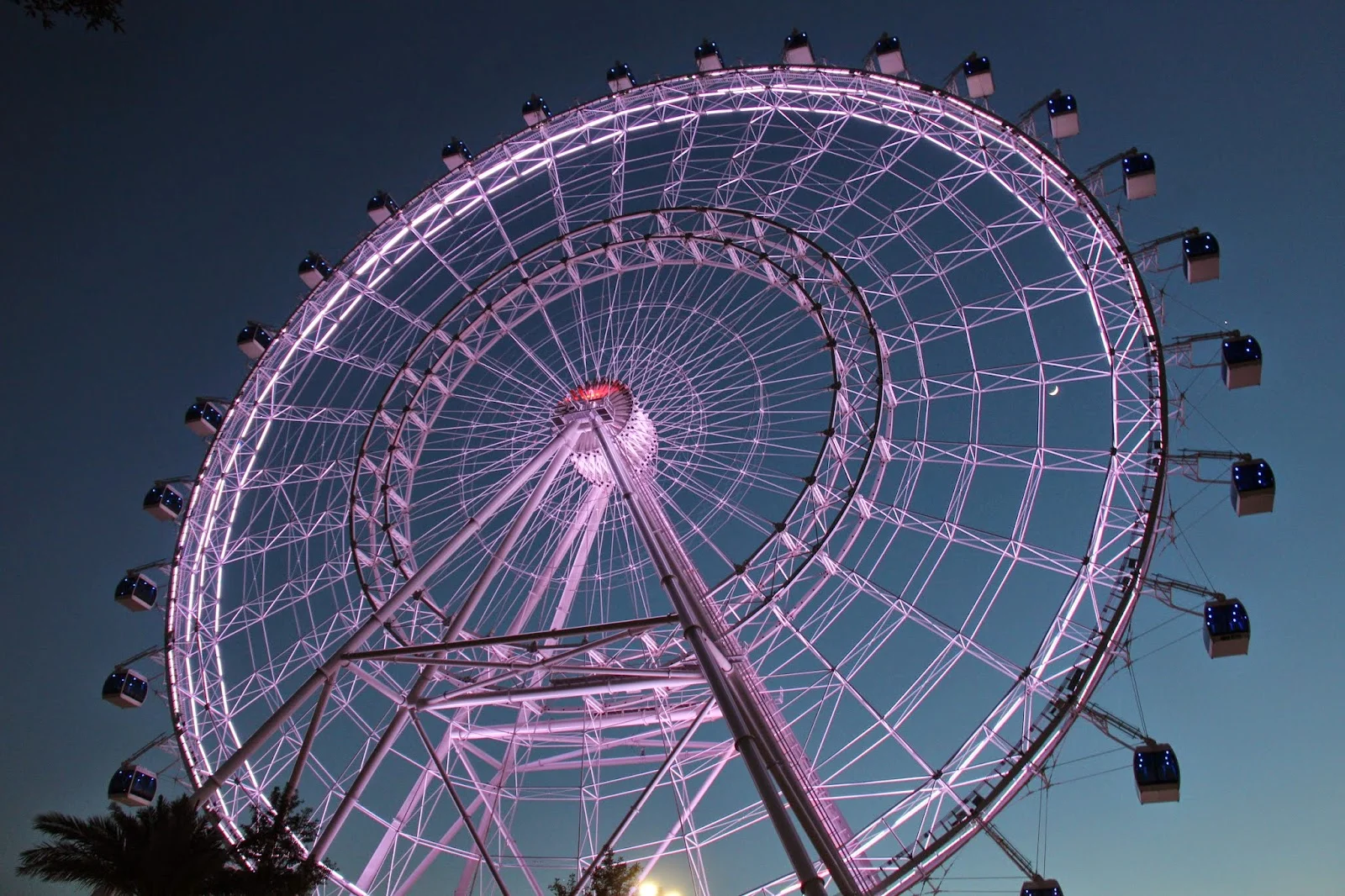 Orlando Eye