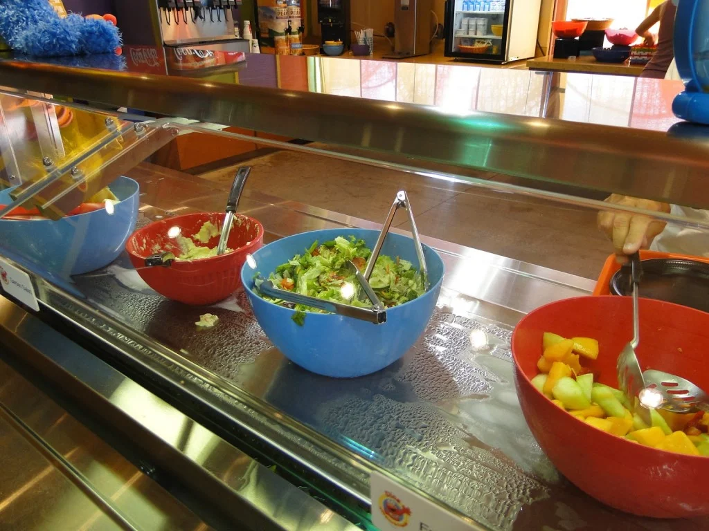 Foto by Andreza Trivillin - Sesame Street Safari Fun - Busch Gardens 